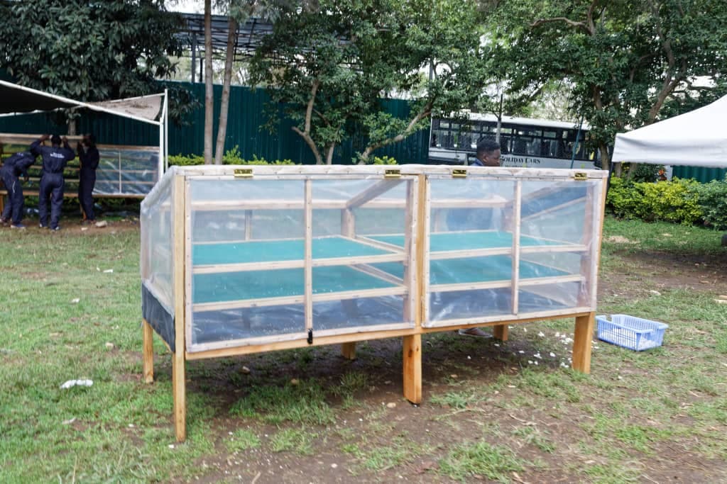 Solar Drier
