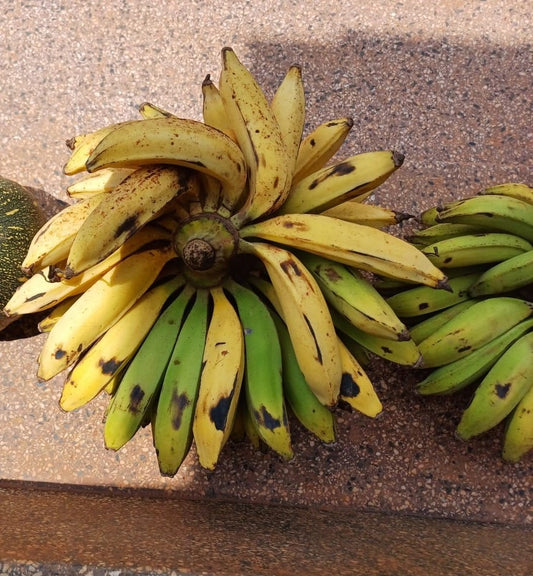 Fresh Gonja (Plantain)